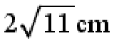 Question content