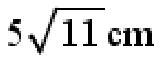 Question content