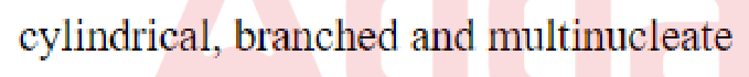 Question content