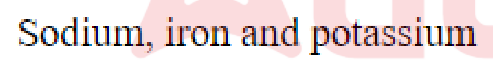 Question content