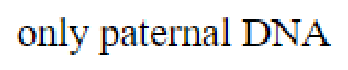 Question content