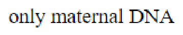 Question content