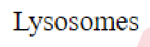Question content