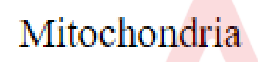 Question content
