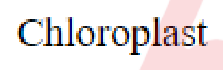 Question content
