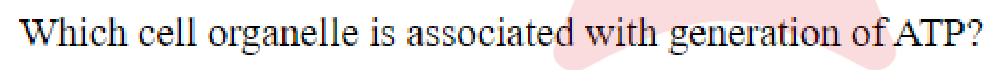 Question content
