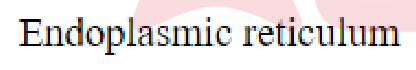 Question content