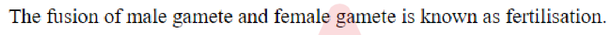 Question content