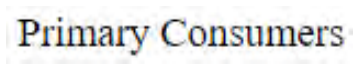 Question content