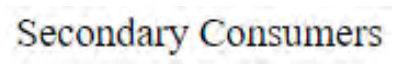 Question content