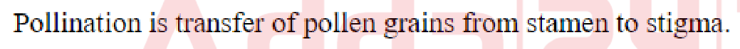 Question content