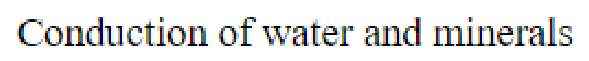 Question content