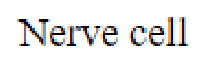 Question content