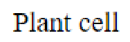Question content
