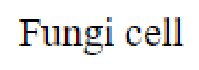 Question content