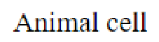 Question content