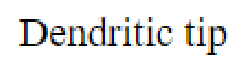 Question content