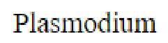 Question content