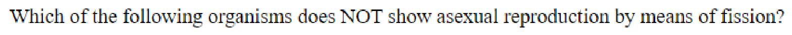 Question content