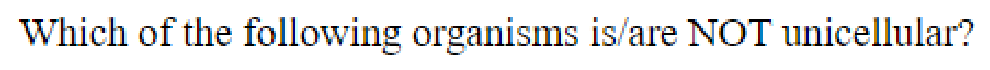 Question content