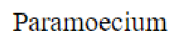 Question content