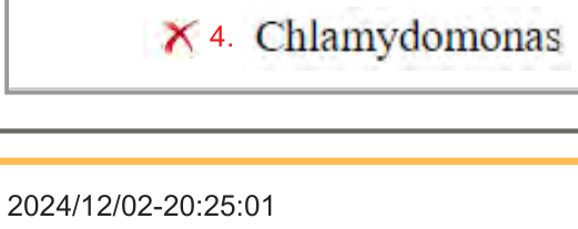 2024/12/02-20:25:01