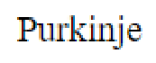 Question content