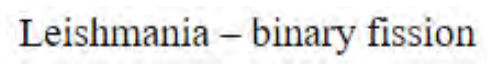 Question content