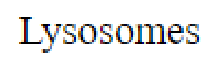 Question content