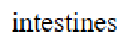 Question content