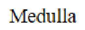 Question content