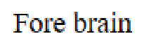 Question content