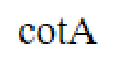 Question content