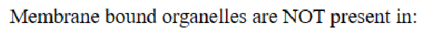 Question content