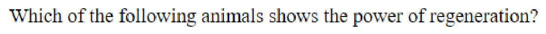 Question content