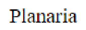 Question content