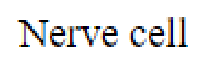 Question content