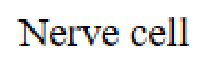 Question content