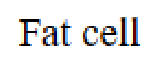 Question content