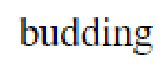 Question content