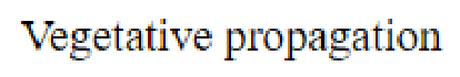 Question content