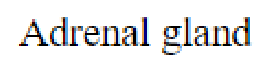 Question content