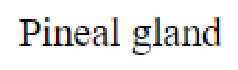 Question content