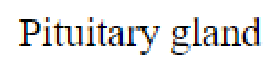 Question content