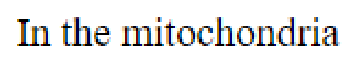 Question content