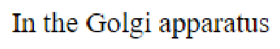 Question content