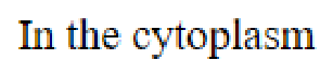 Question content