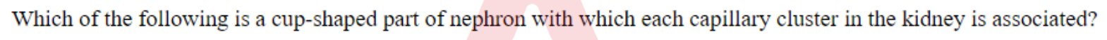 Question content