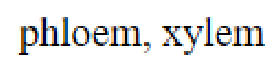 Question content