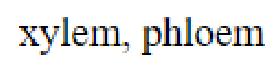 Question content